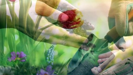 True Integrity Lawns - (463) 200-7017