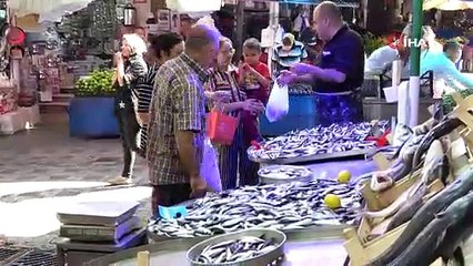 Tezgâhta en ucuz balık sardalye