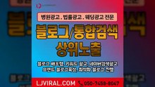 보험광고〖LJVIRAL.COM〗바이럴광고대행사