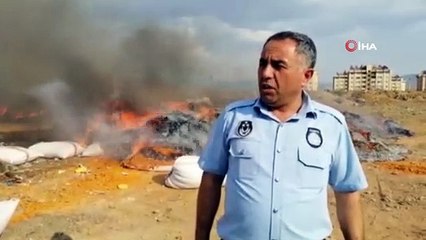 Gaziantep 'te 25 ton bozulmuş domates ele geçirildi