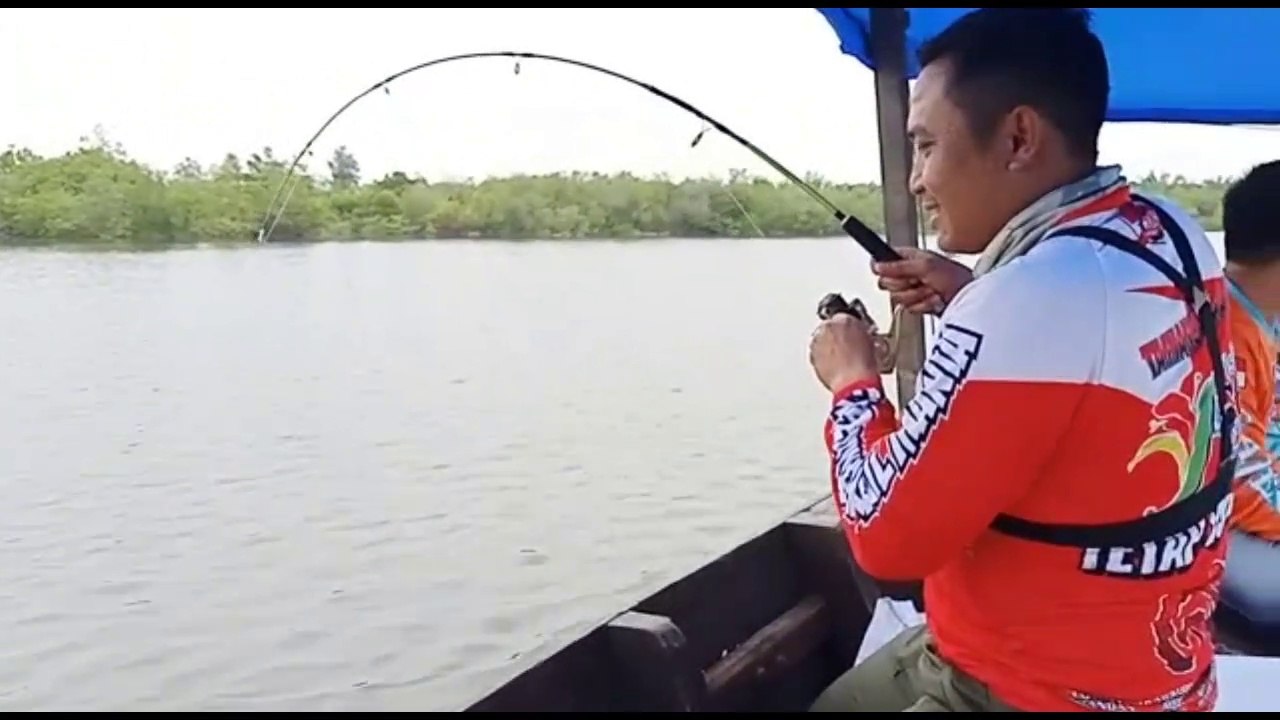 MANCING IKAN KERAPU  | GROPER FISH