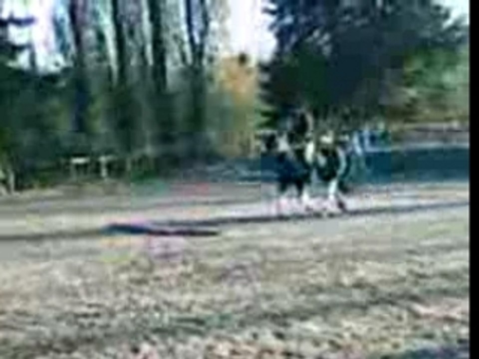 cours du samedi 15h15