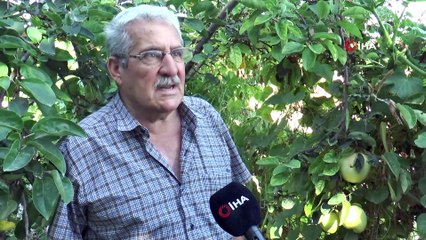 Bu meyvenin adını bilen yok