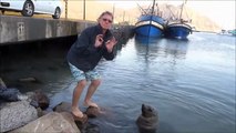 Hilarious Seal Compilation - Captured Fun Moments!!