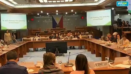 Hontiveros: Divorce doesn’t break marriages, abuse does