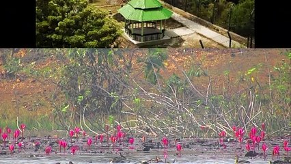 Book Sundarban National Park Tiger Tour - Walmart Travels