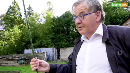 L'Avenr - Mesurer un arbre : la hauteur