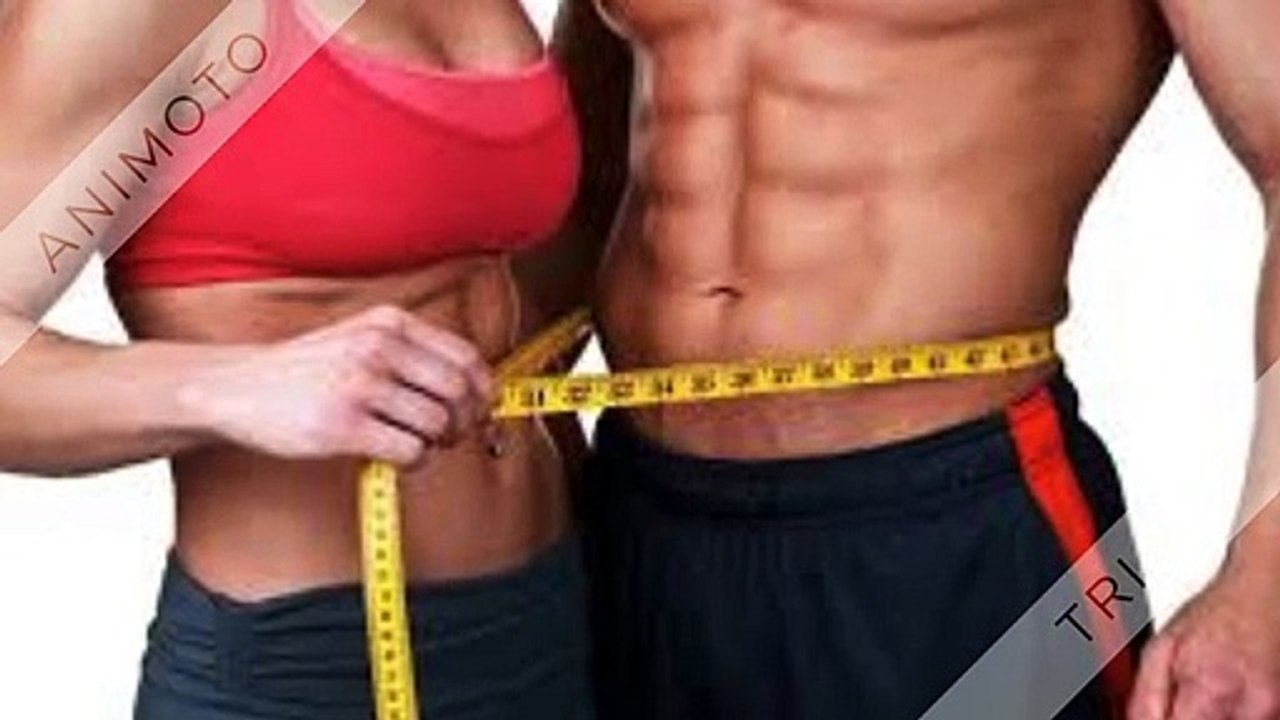 Panther Labs Keto - Maintenance Of The Cholesterol Levels