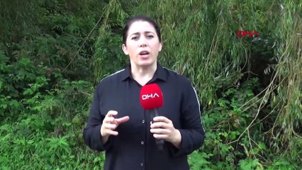 'Terminatör böcekler' ormana bırakıldı! Biyolojik Mücadele Başlatıldı