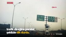 Refüje çarpan otomobil dik durdu