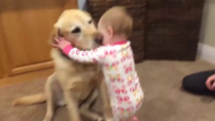 Cute Dogs And Adorable Babies Compilation
