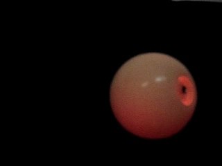 MMX Global rechargeables - MMX 3