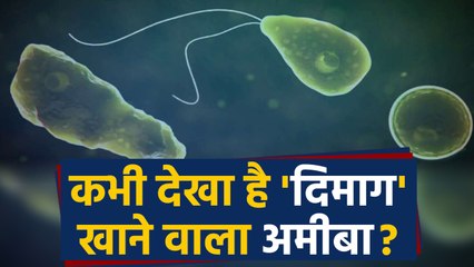 Brain-eating amoeba की शिकार बनी दस साल की Lily Avant । वनइंडिया हिंदी