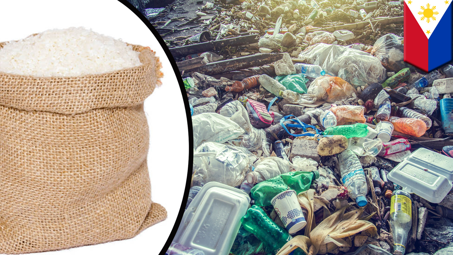 Filipino village exchanges plastic waste for rice | adobokid