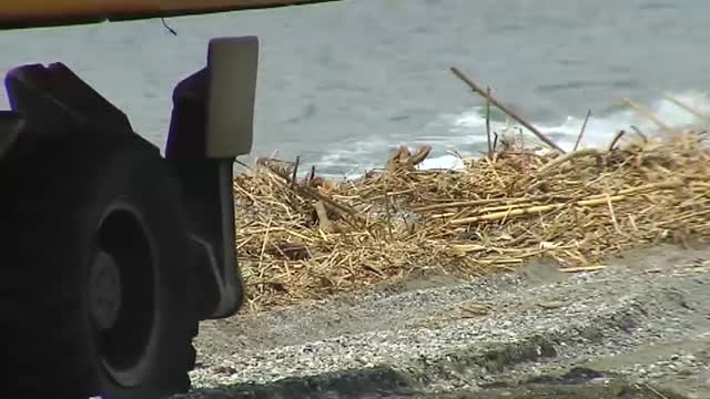 Sin lluvia pero afectados también por la gota fría
