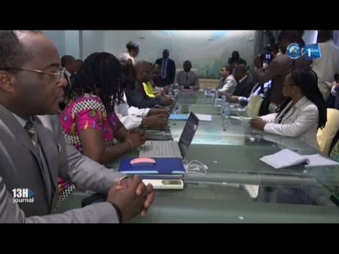 RTG/Fin de la 35ème session du comité de gestion des activités aéronautiques du Gabon