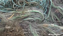 New project aims to remove plastic fishing nets from the Baltic Sea