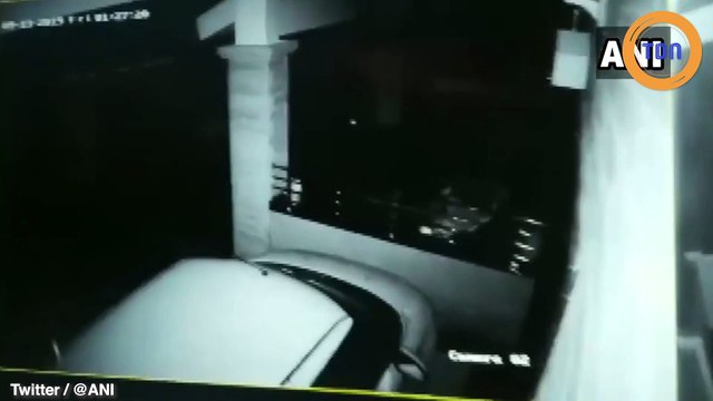 Un léopard pénètre dans un jardin et repart avec un chien entre ses crocs !