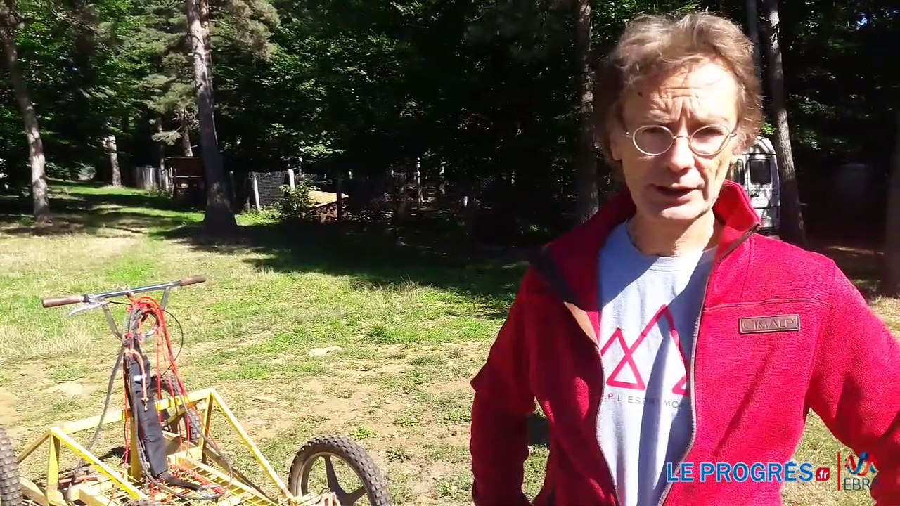 Chiens de traineaux en Haute-Loire