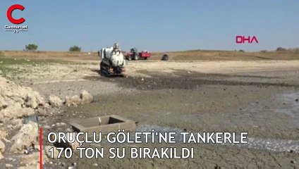 Balıkların öldüğü Oruçlu Göleti'ne tankerle 170 ton su bırakıldı