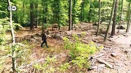 Klimawandel - Landwirte weltweit in Sorge | Made in Germany