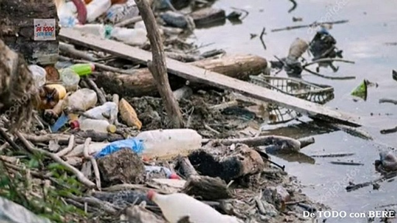 PERRO LIMPIA UN RIO EN CHINA POR 1 DECADA, NO CREERAS CUANTAS BOTELLAS DE PLASTICO SACO