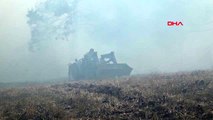 Bolu'da, orman yangının 10 dönümlük alan zarar gördü