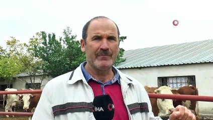 Kayseri’den çalınan hayvanlar, Siverek’te bulundu