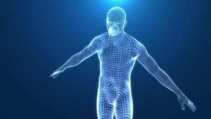 Ser Humano: 99 datos sobre tu cuerpo que te dejarán pasmado