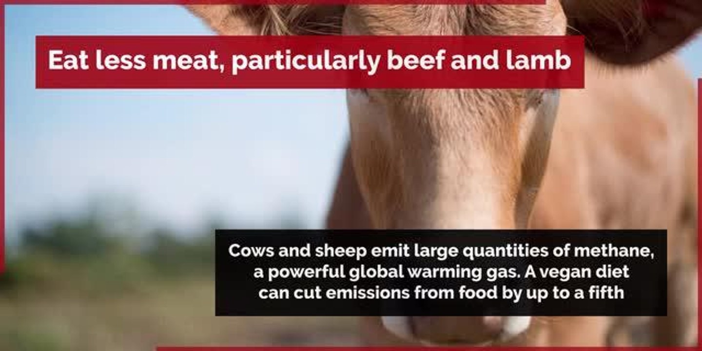 climate change