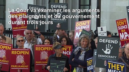 Brexit: manifestation devant la Cour suprême à Londres (2)