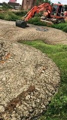 Excavator Rescues Cute Calf From Mud