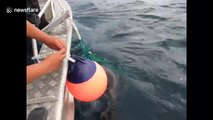 Heartwarming moment Canadian fisherman rescued sea lion pup trapped in fishing nets