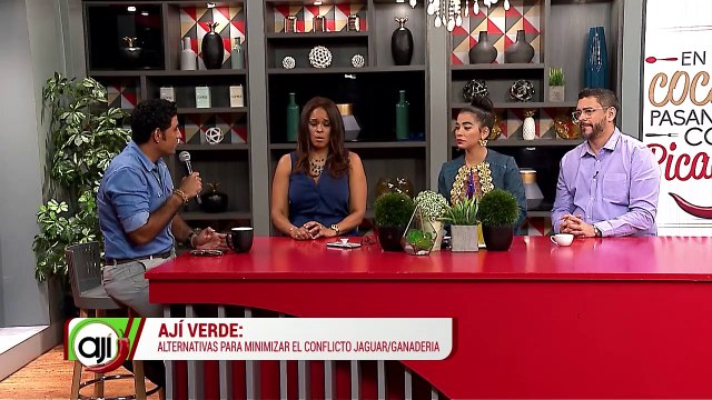 Ají verde Alternativas para minimizar el conflicto jaguar/ganadería - Nex Panamá