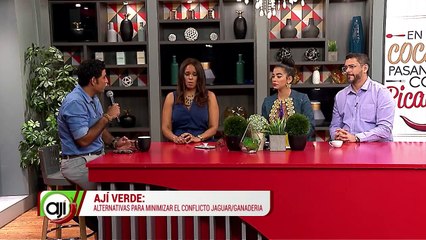 "Ají verde" Alternativas para minimizar el conflicto jaguar/ganadería - Nex Panamá