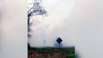 Fogo atinge vetação às margens da BR-277, em Santa Tereza do Oeste