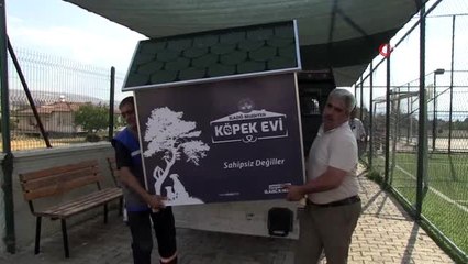 Örnek projeyle "Kedi ve köpekler" okul bahçesinde