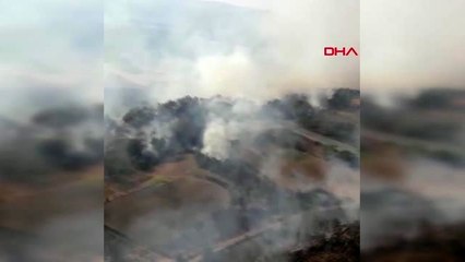 Antalya'daki orman yangını 3,5 saat sonra kontrol altında