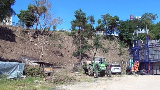 Tarım İl Müdürlüğü binası arkasında bulunan ağaçlar kesiliyor