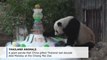 Giant panda Chuang Chuang dies at Thai zoo