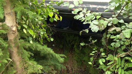 Un autocar fait une sortie de route à L'Isle-aux-Coudres
