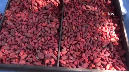 Simav'da 'Goji Berry' projesi