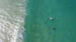 Ce surfeur échappe à un requin grâce à un... drone !