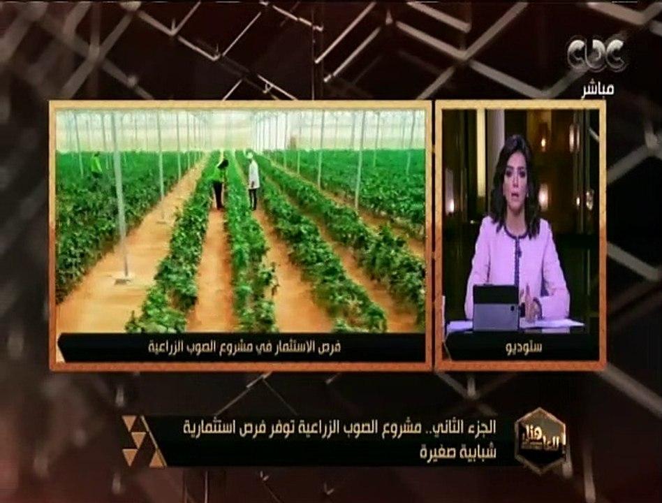 هنا العاصمة | مشروع الصوب الزراعية توفر فرص استثمارية شبابية صغيرة