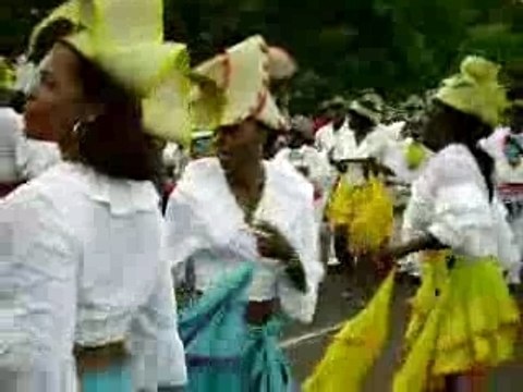 Carnaval de la guadeloupe, parade de petit-bourg.