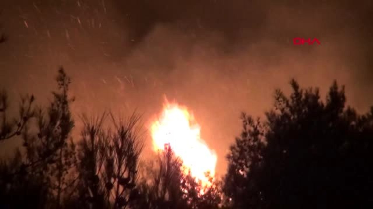 Hatay'da orman yangını