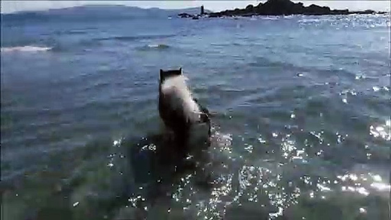 上手・上手