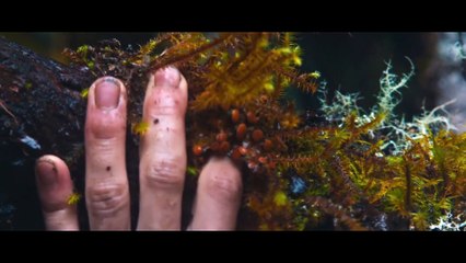 Monos Movie Clip - Shrooms