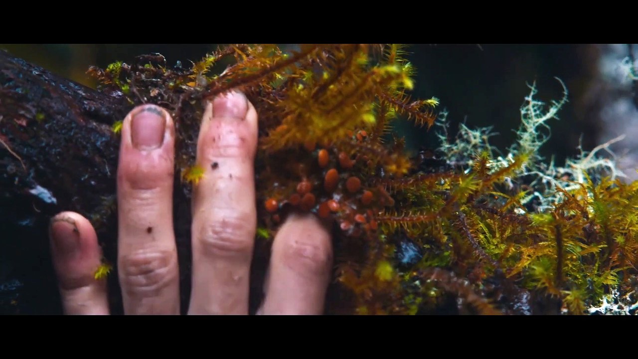 Monos Movie Clip - Shrooms