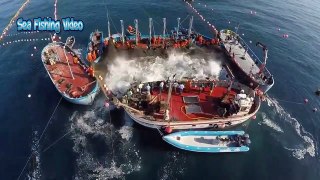 Most Satisfying Big Catch Fishing Huge Tuna Video - Amazing Giant Bluefin Tuna Processing Skill